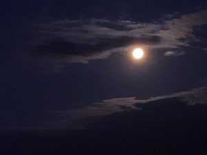夏の夜の月と雲