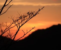 秋の夕暮れの風景