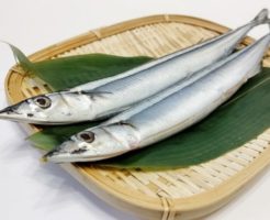 笊の上の二匹の秋刀魚