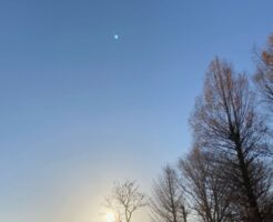 寒々しい冬の空