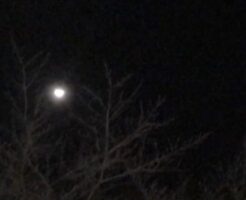 冬の夜空の月
