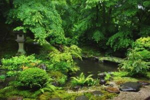 五月雨の日本庭園