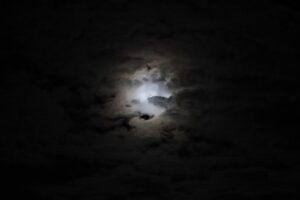 雲に隠れた名月