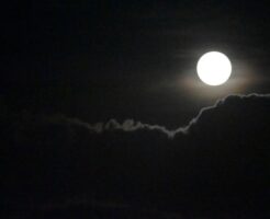 秋の夜の月と雲