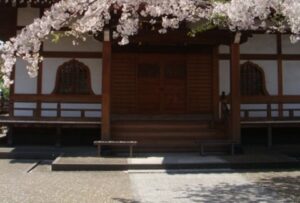 寺の桜の花
