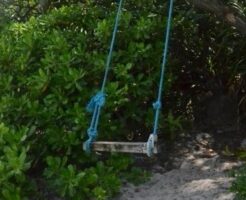 森の中のブランコ