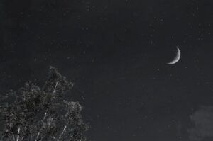 冬空の三日月